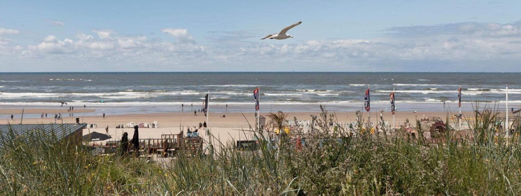 Beach&Dunes Apartment زاندفورت المظهر الخارجي الصورة